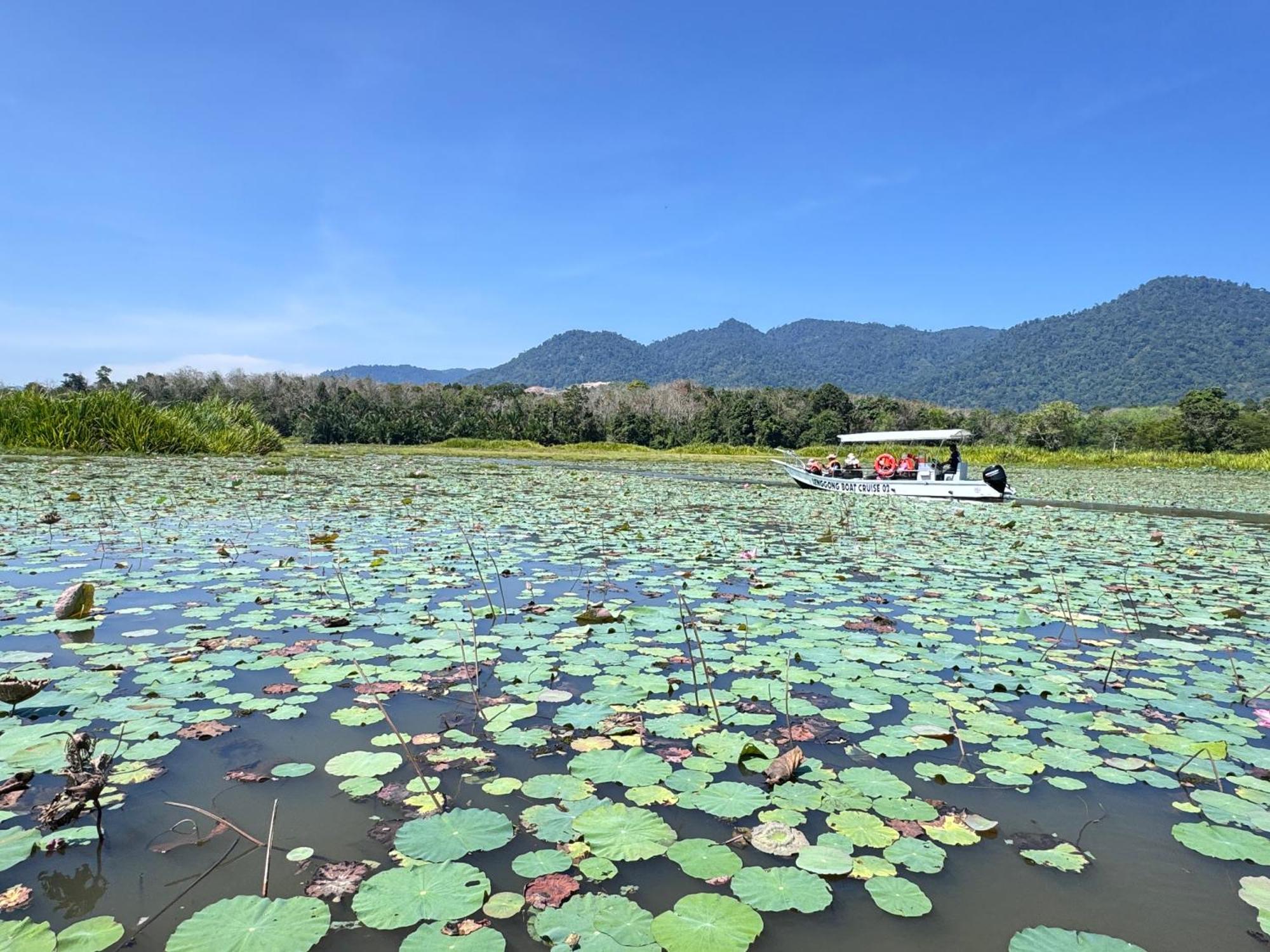 Hotel Branda Kampung Sumpitan Lenggong Tiada Sungai Kampong Ulu Jepai Exterior foto